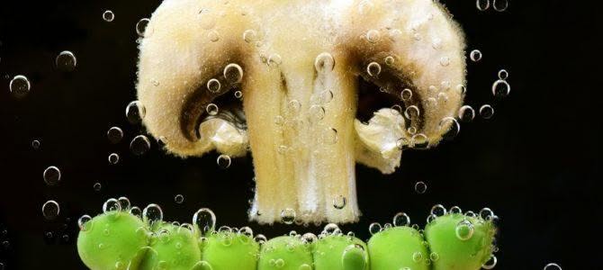 I vantaggi delle pentole a induzione